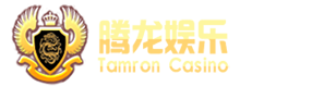 星辰互动Logo